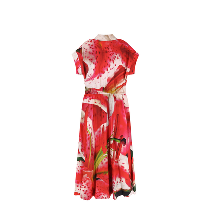 Printed Silk Chemisier Dress