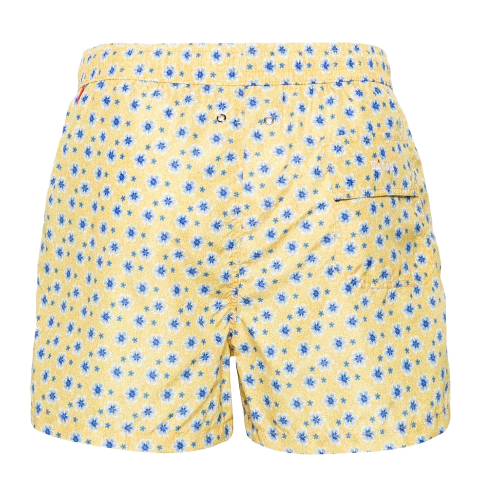 Multicolor Printed Swim Shorts