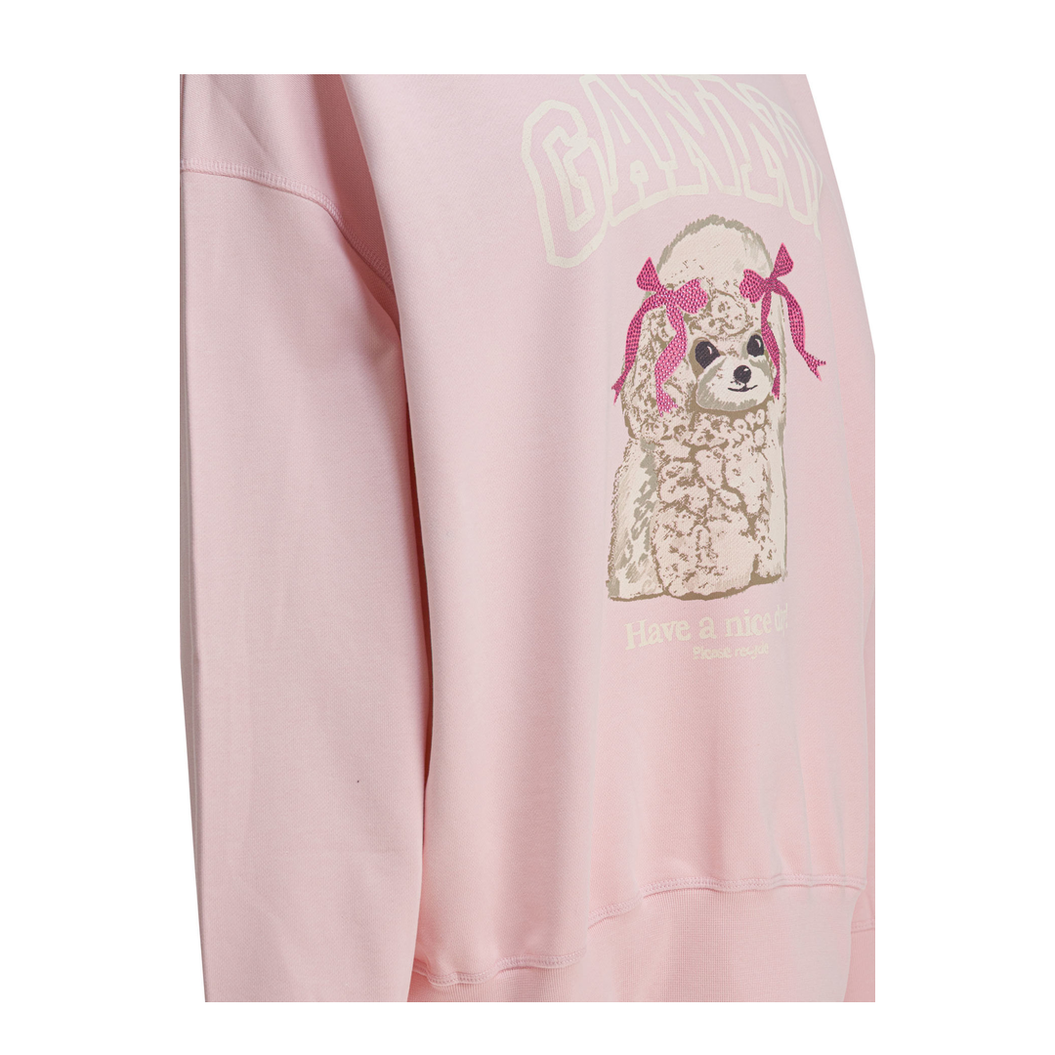 Poodle Sweatshirt