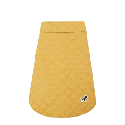 MAYFEYR - Poldo Dog Couture - Lifestyle Orange - SUNNYSUMMITSM
