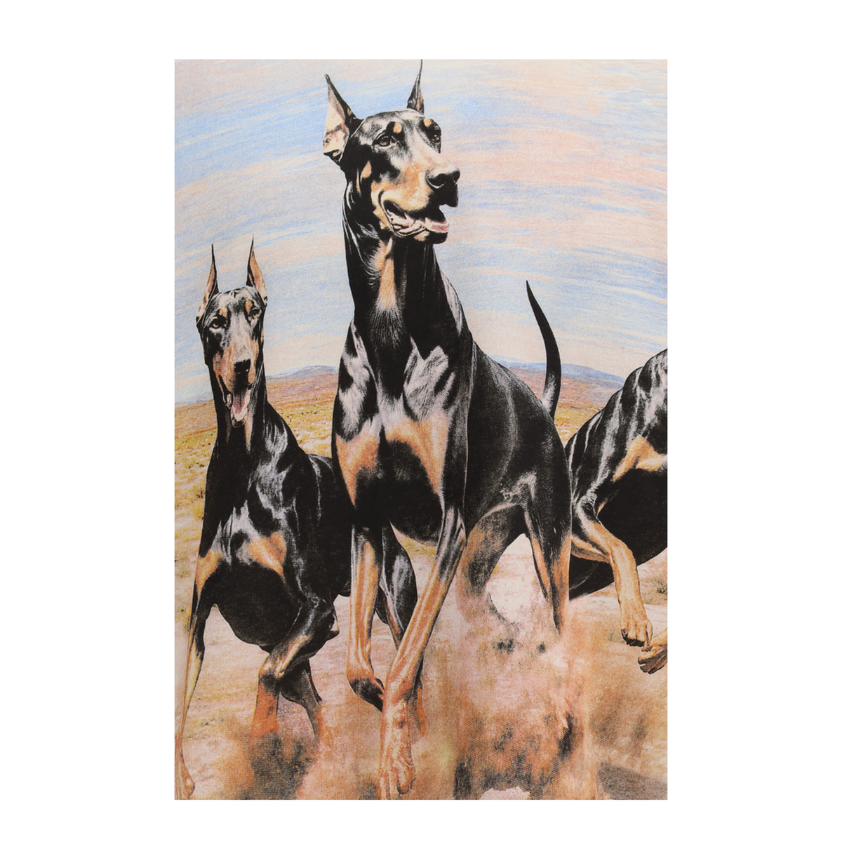MAYFEYR - Represent - Western Dobermans Hoodie - MLM100728FLATWHITE
