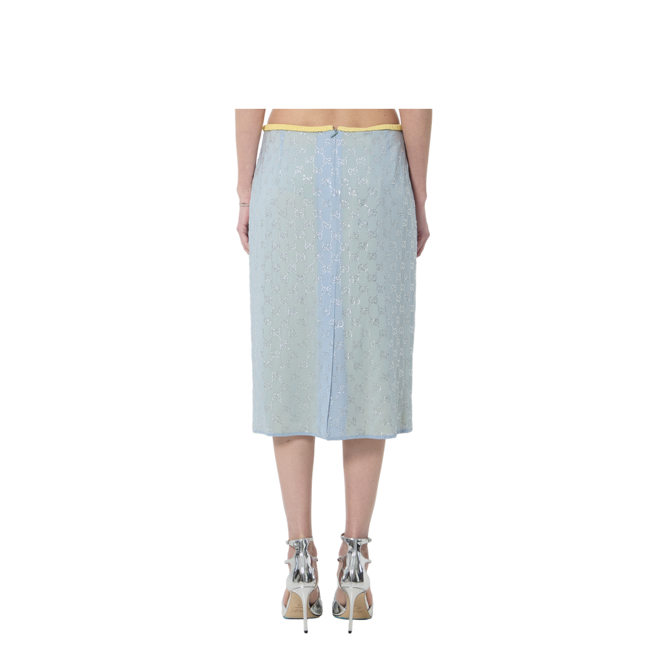 women's skirt