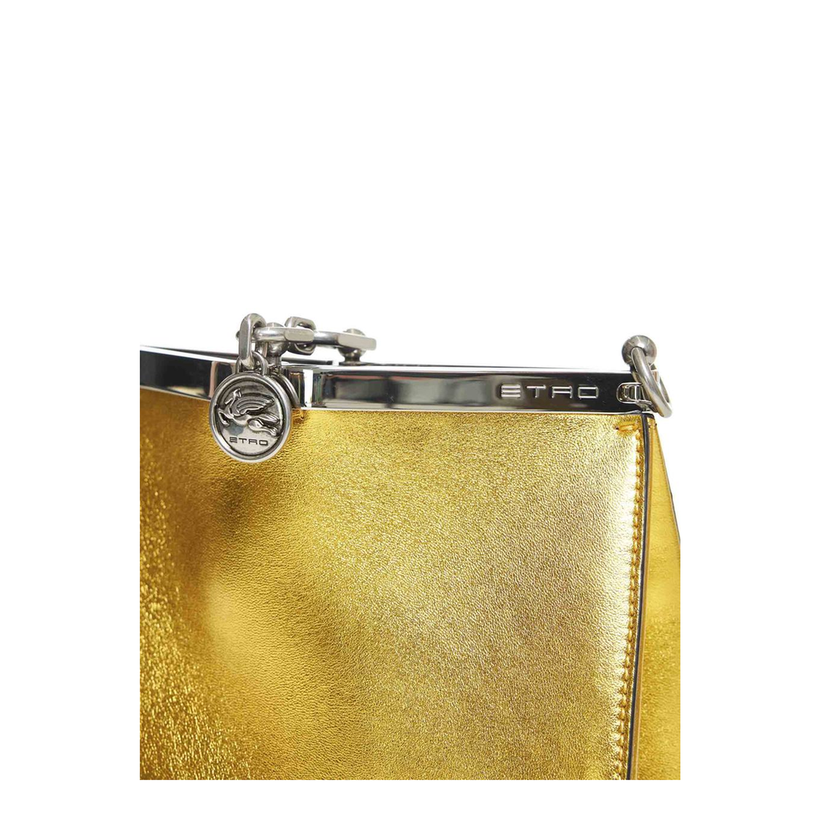 Small Laminated Bag