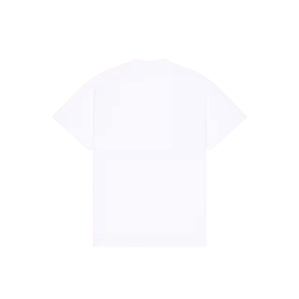 New T-Shirt In Cotton With Paris Embroidery