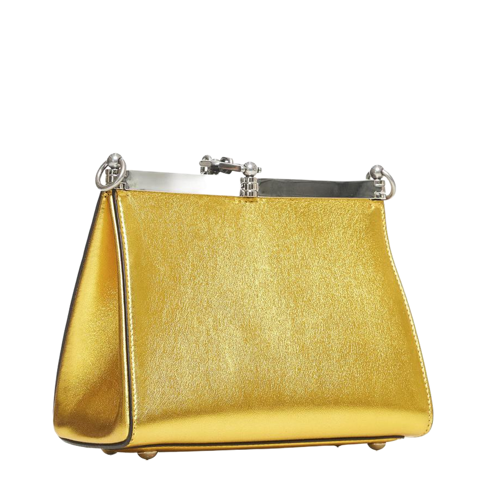 Small Laminated Bag