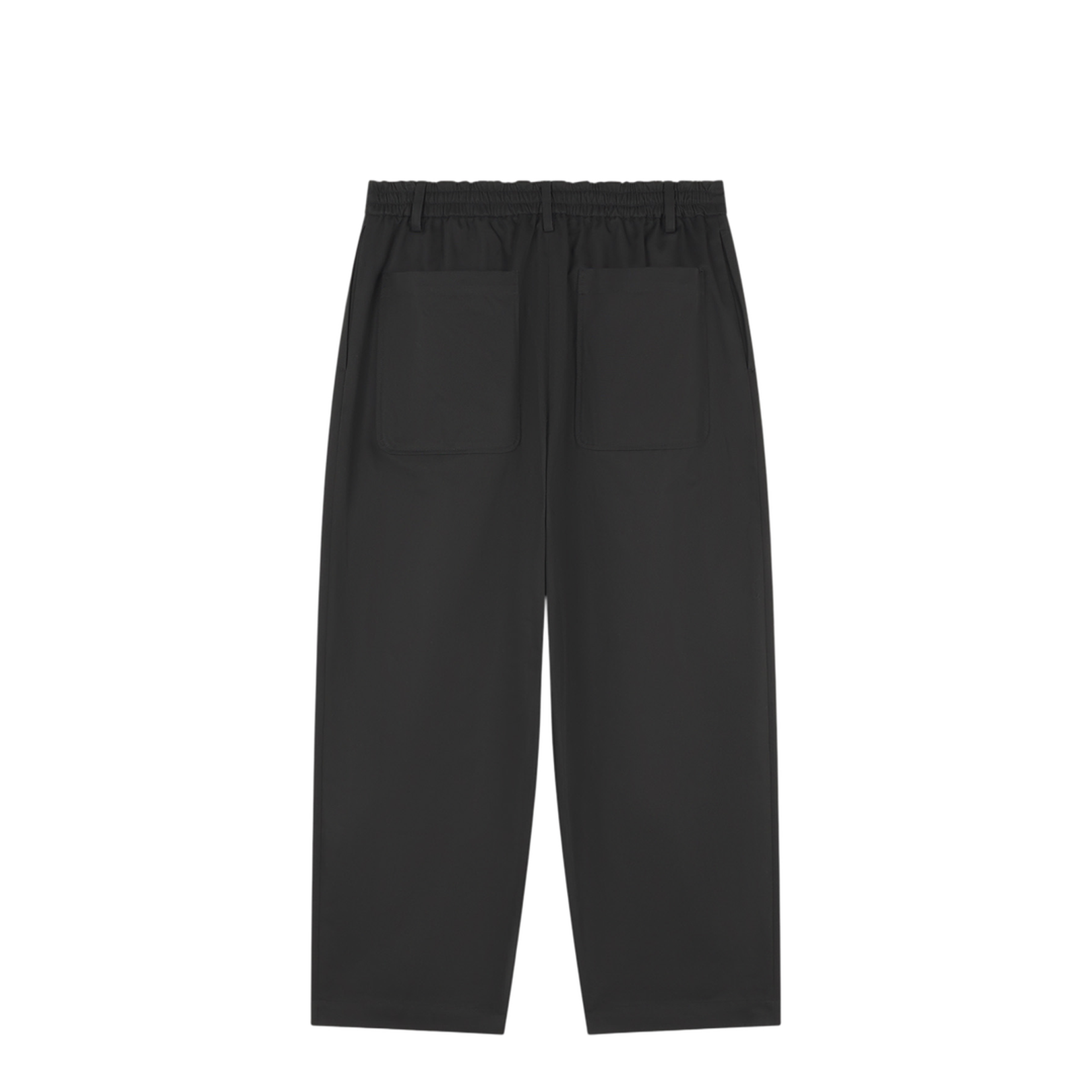 Cropped Pleated Chino Pants