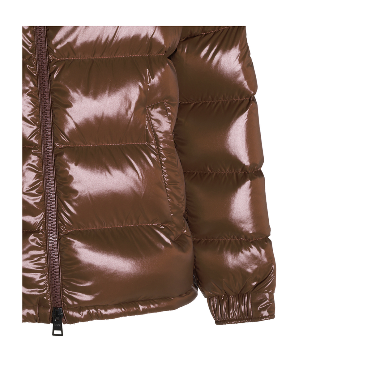 Polar Tech Hooded Down Jacket