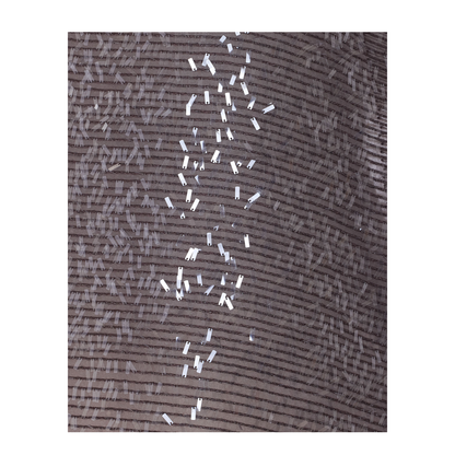 Brown Silk Sequin Top With Round Neck