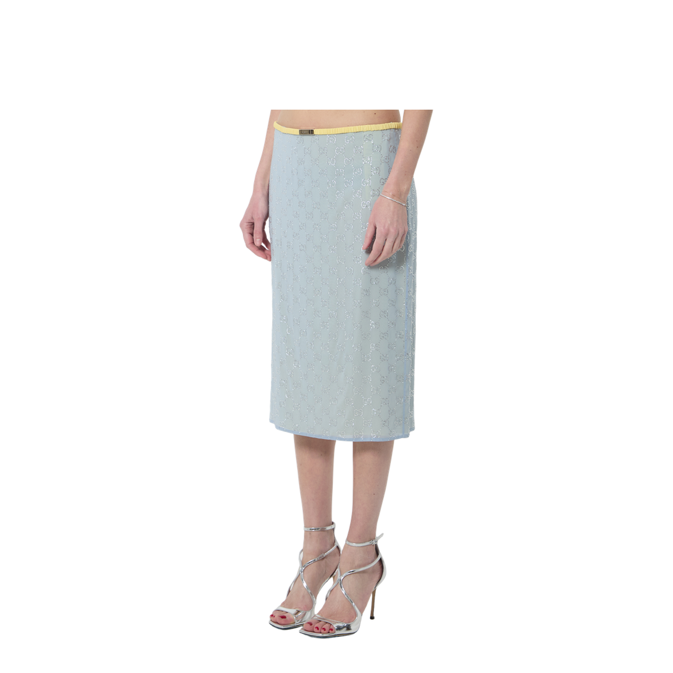 women's skirt