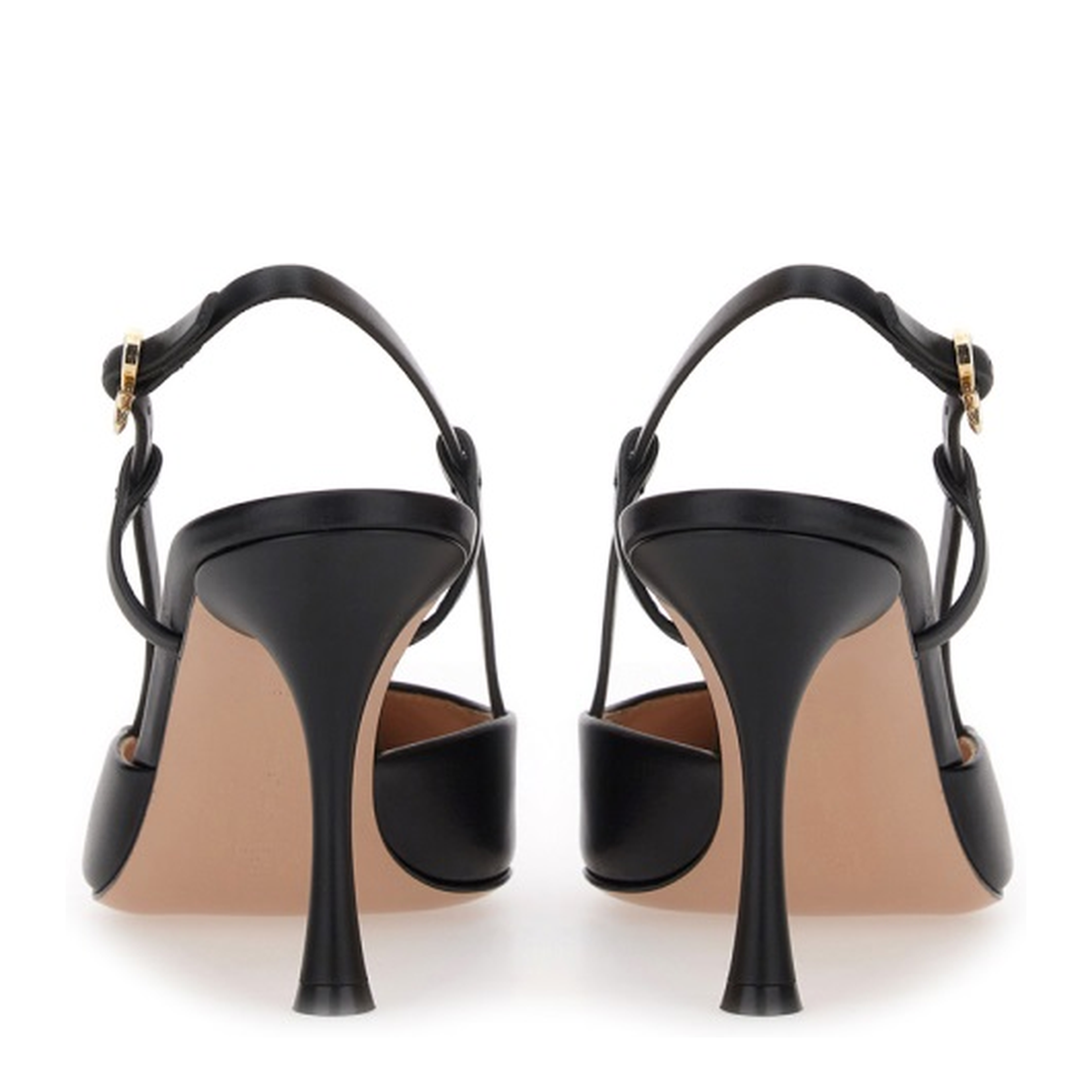 Ascent Pumps