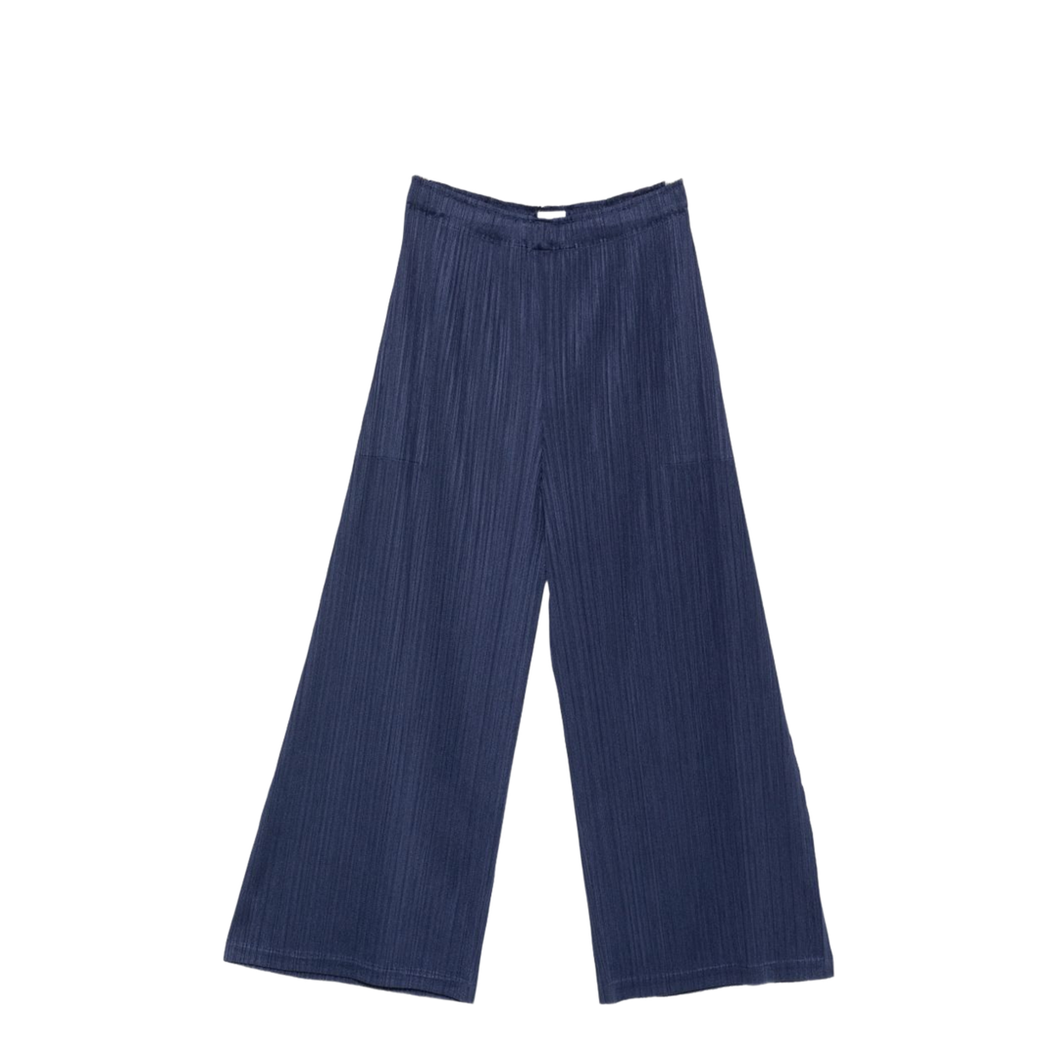 Pleated Pants