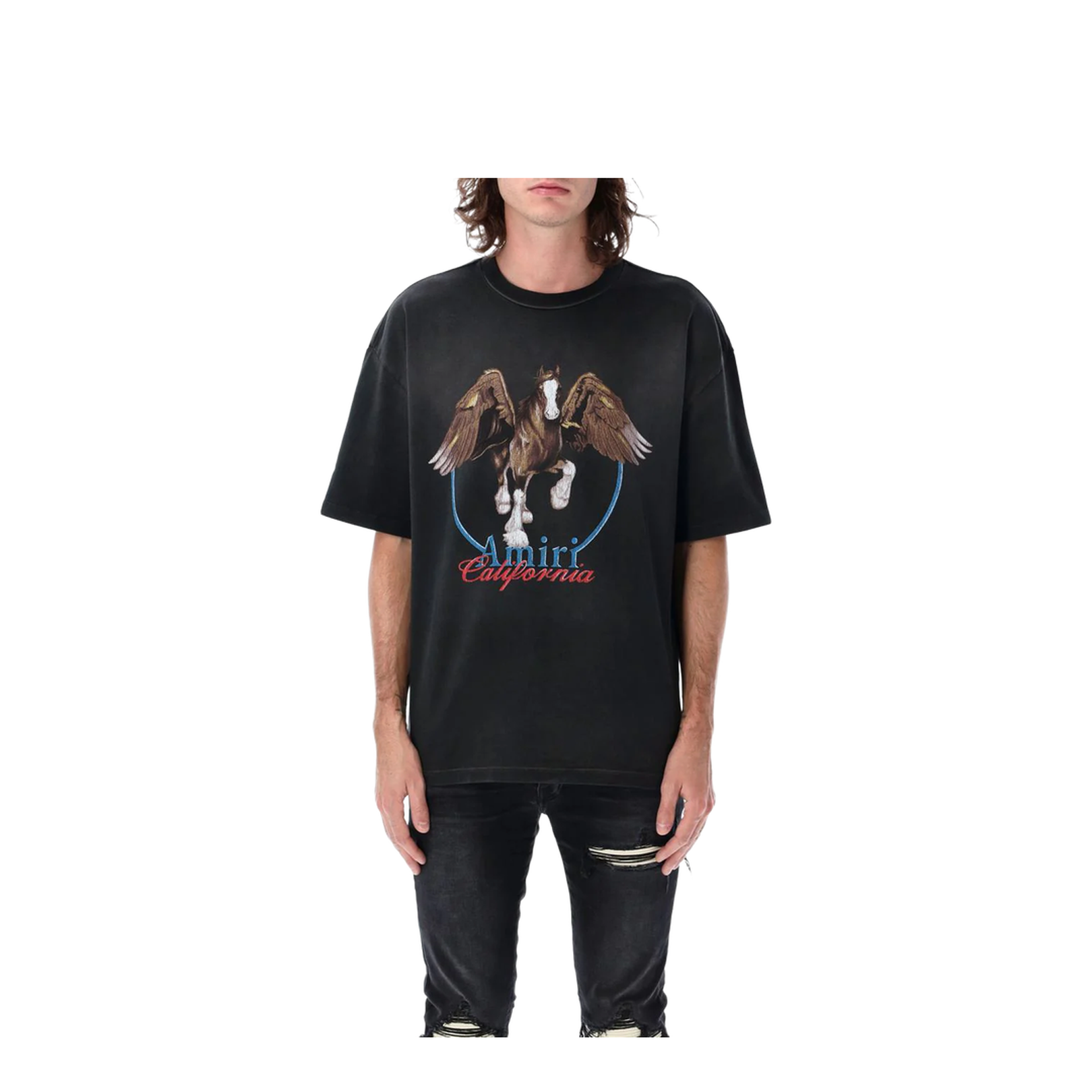 Vintage Wash Pegasus T-Shirt