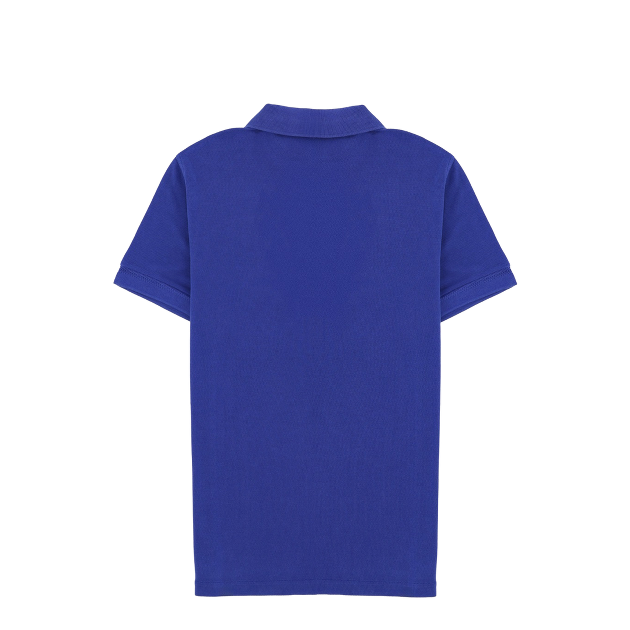 T-shirts and Polos Blue