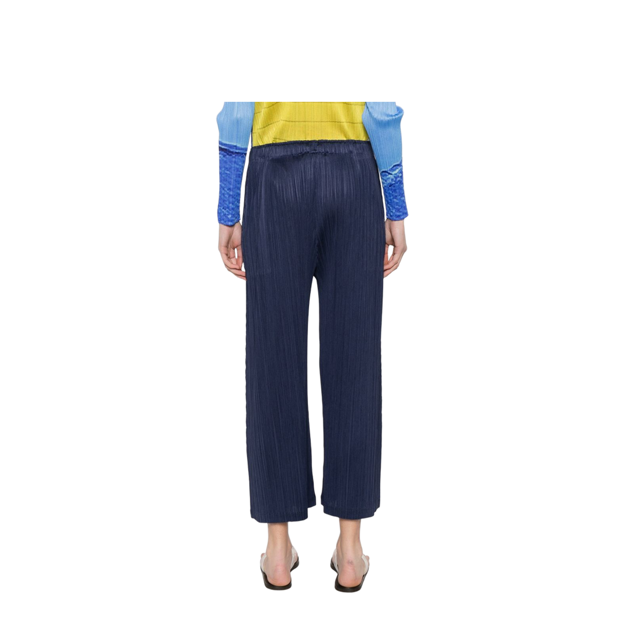 Pleated Pants