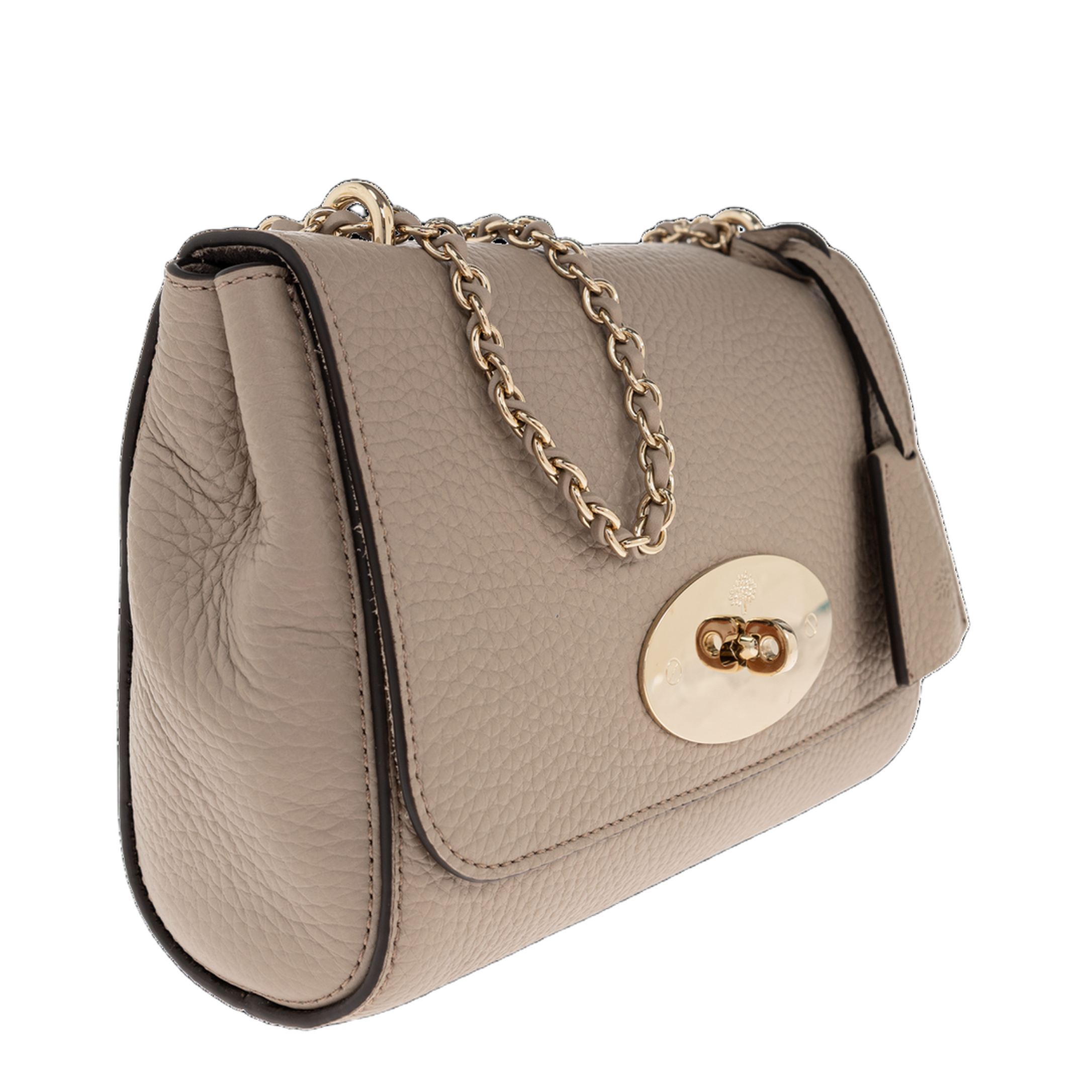 Small Babyswater Satchel Bag