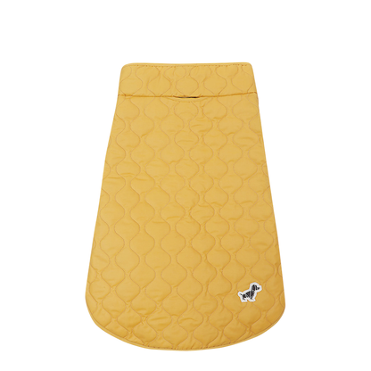 MAYFEYR - Poldo Dog Couture - Lifestyle Orange - SUNNYSUMMITSM