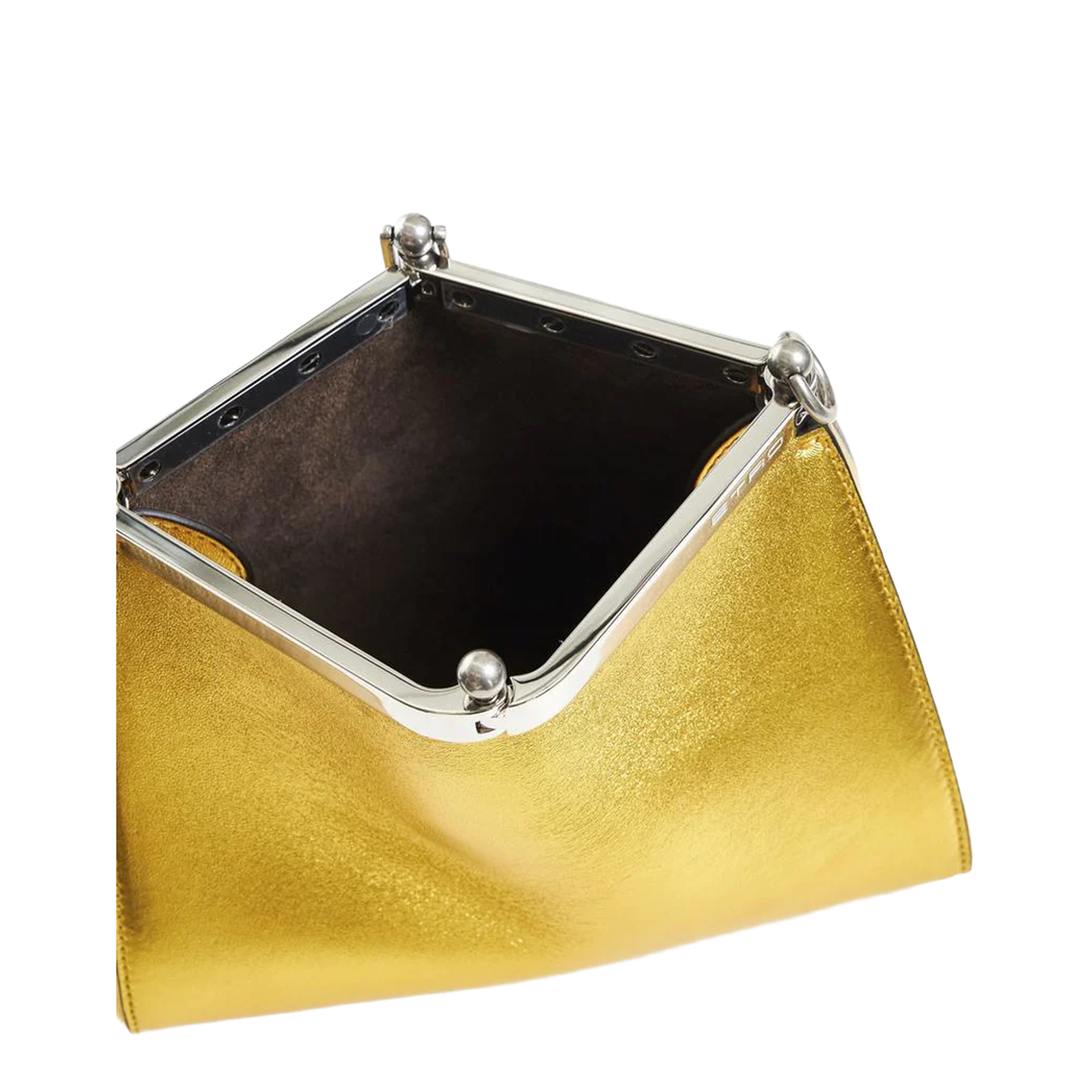 Small Laminated Bag