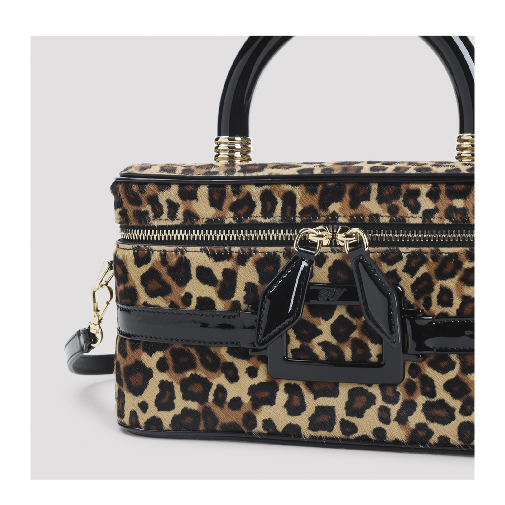 Belle Vivier Vanity Mini Bag