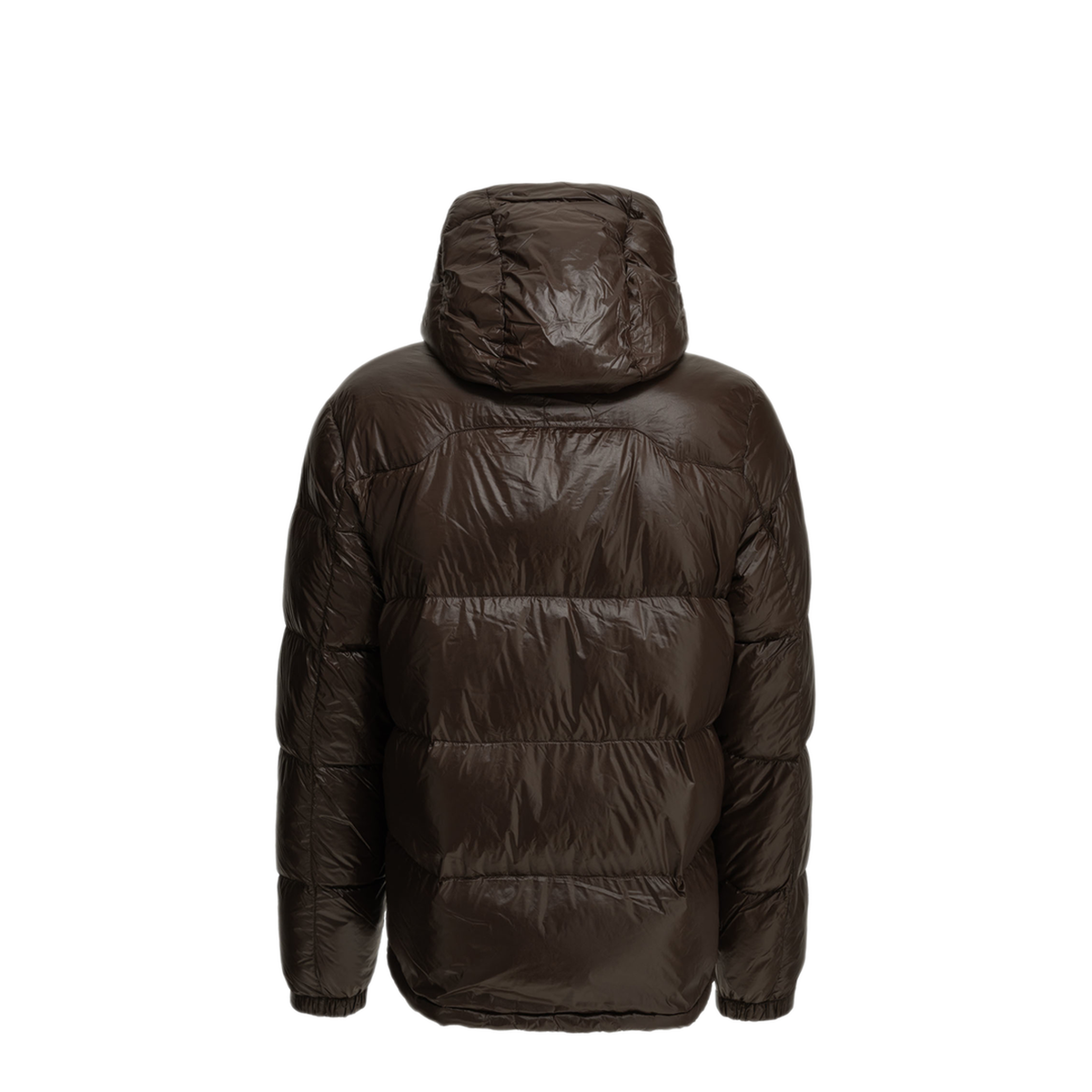 MAYFEYR - Polo Ralph Lauren - Gorham Short Down Jacket - 710968281500NUTMEGBROWNGLOSSY