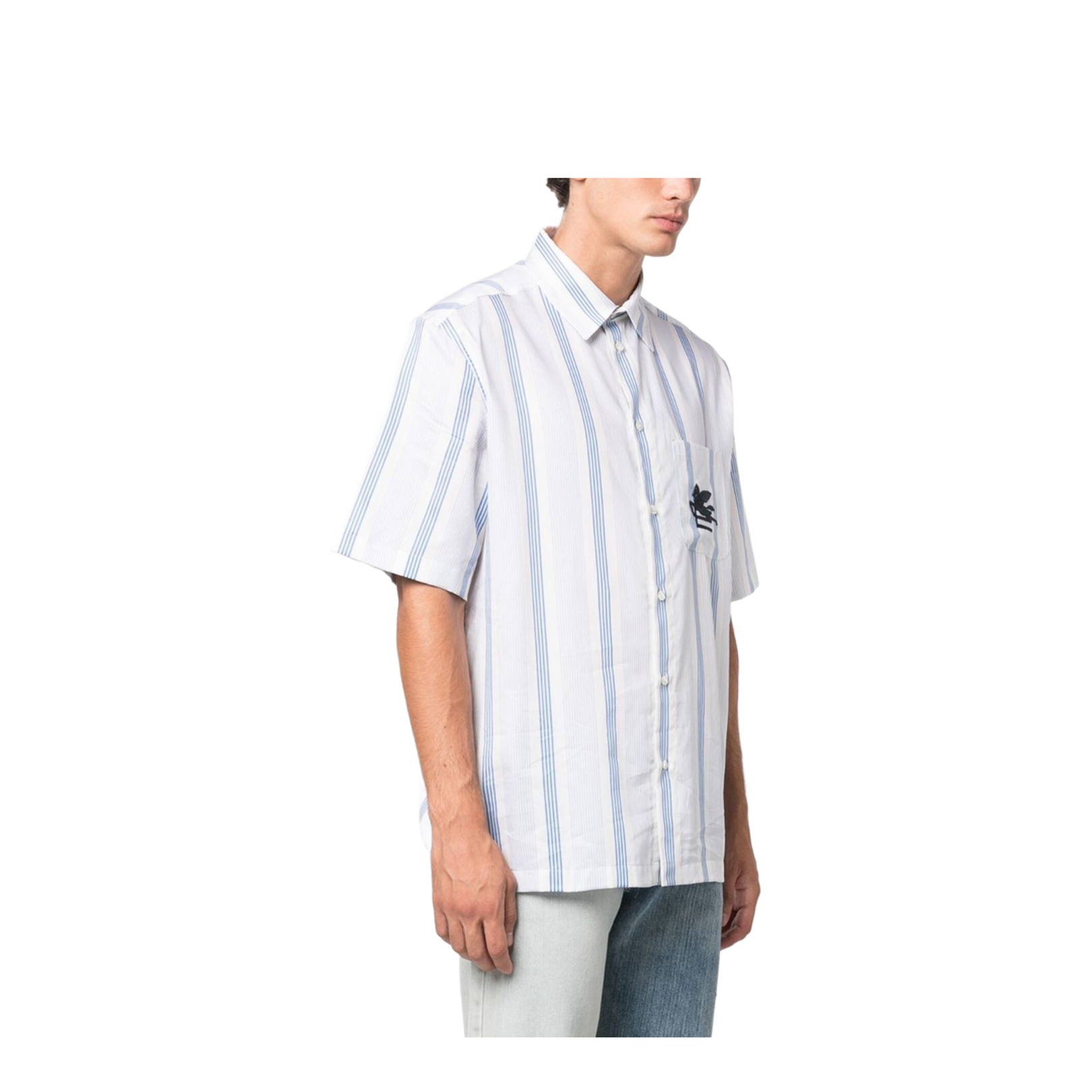 Blue Striped Embroidered Shirt