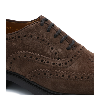 MAYFEYR - Doucal's - Flat Shoes - DU3500HENRUF009TC05
