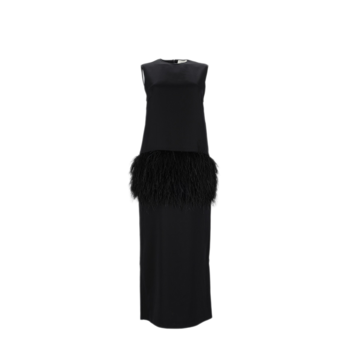 Black Dress With Ostrich Feathers