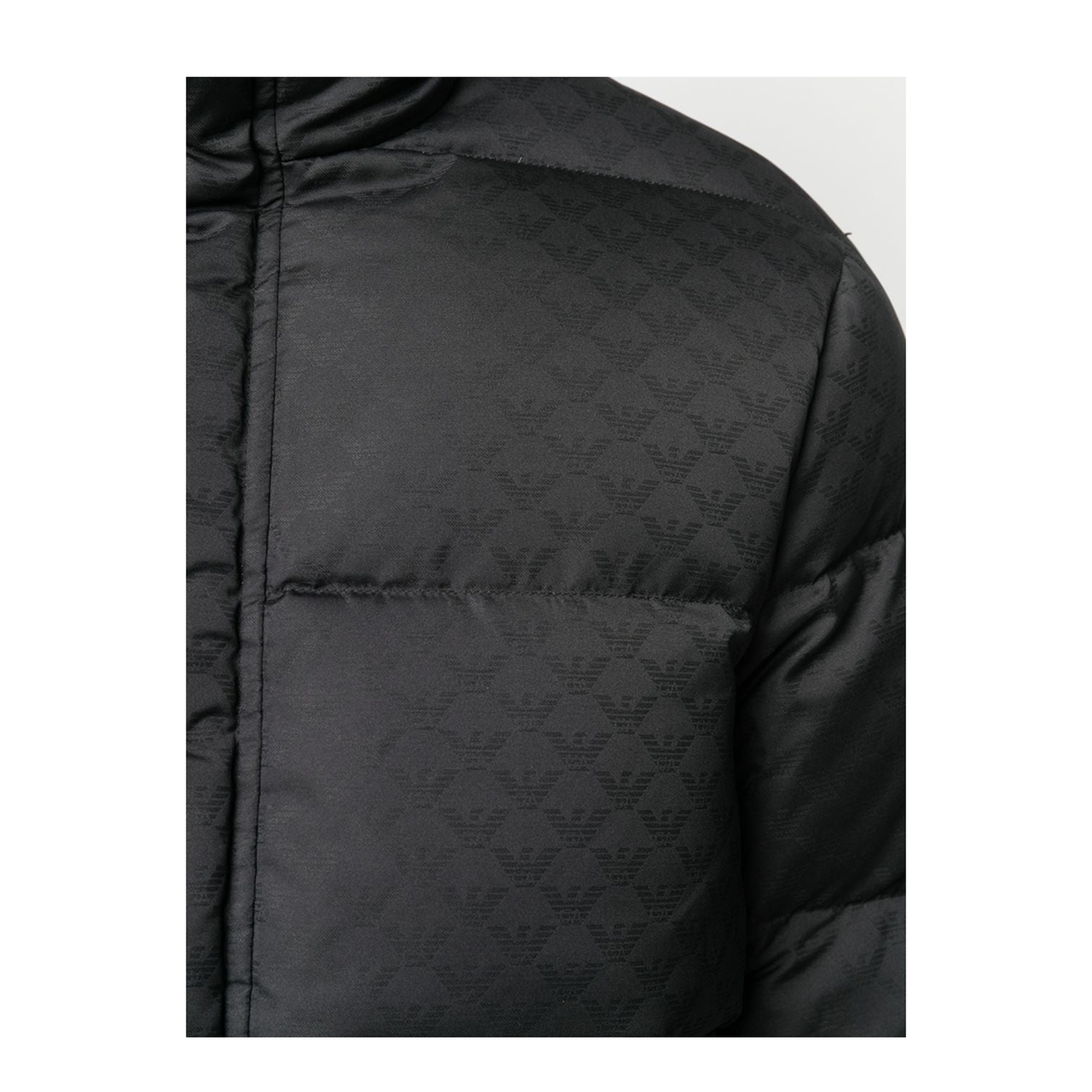 Black Quilted Down Jacket