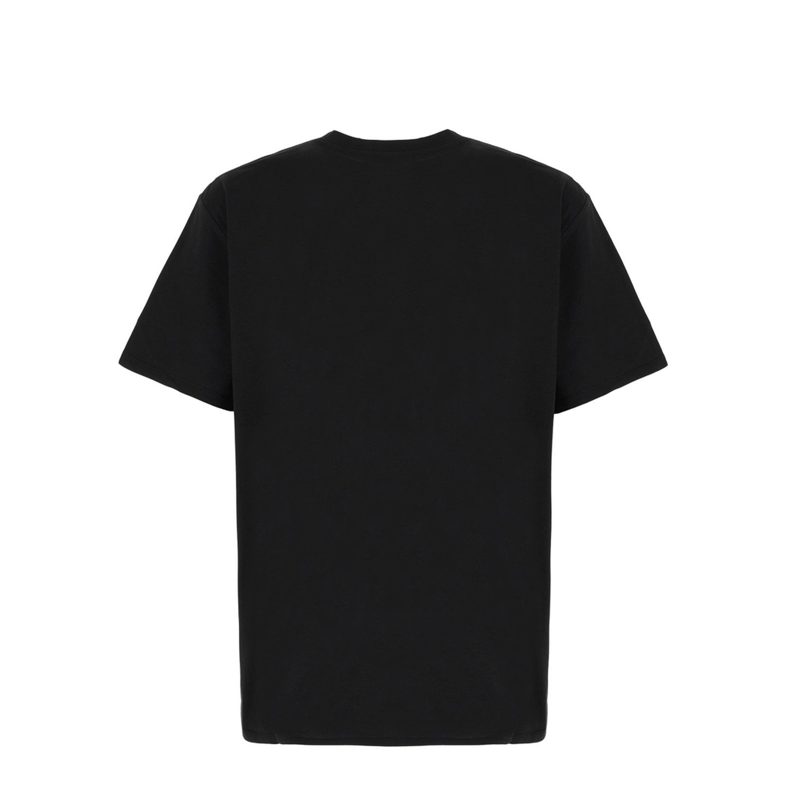 Coin Flock T-Shirt, Regular Fit