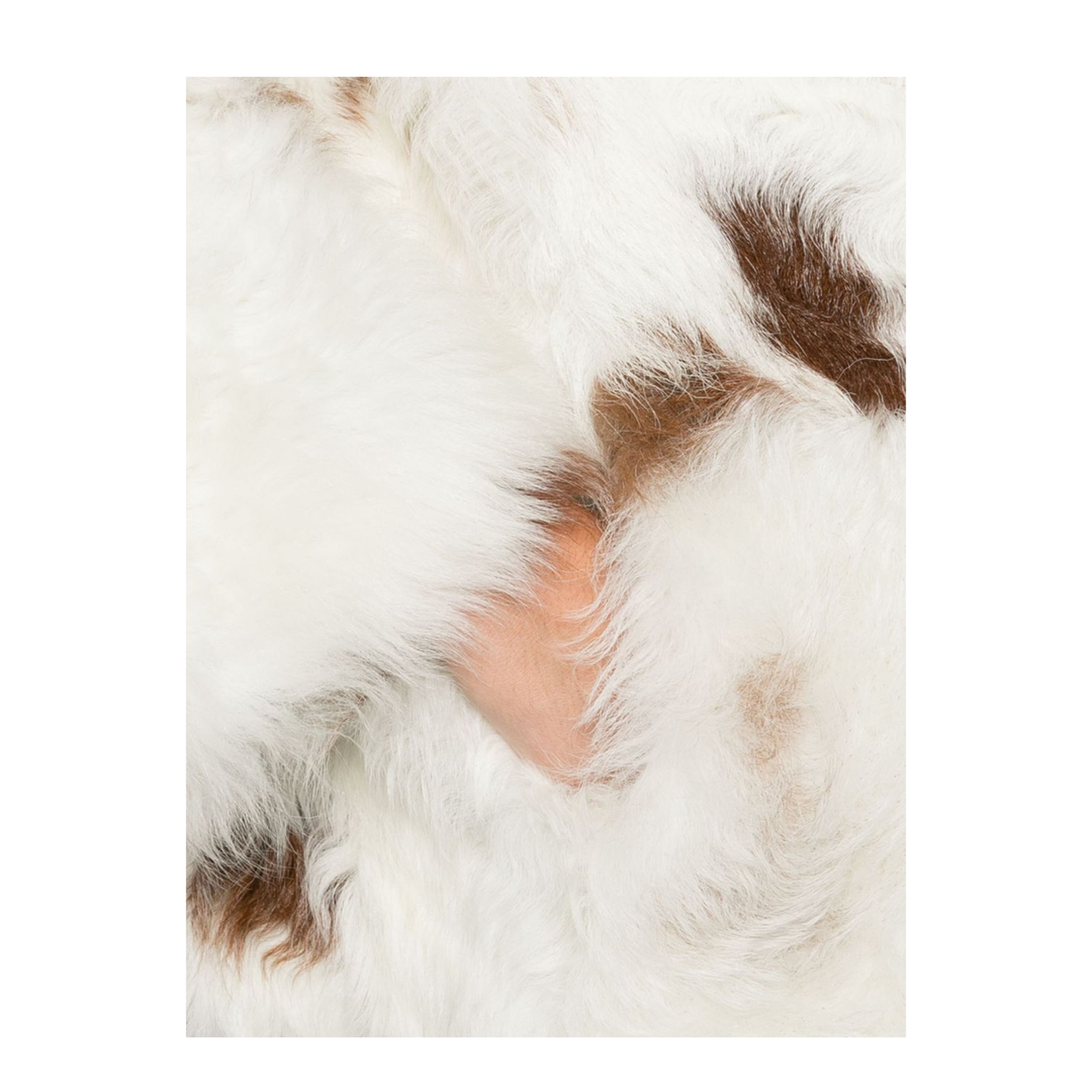 Hypnotic Spot Shearling Jacket