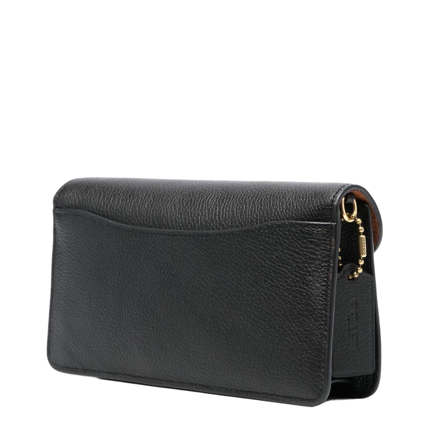 Tabby Chain Clutch
