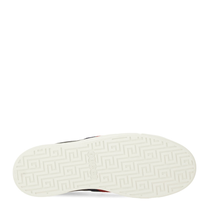 Ace Trainer with Web