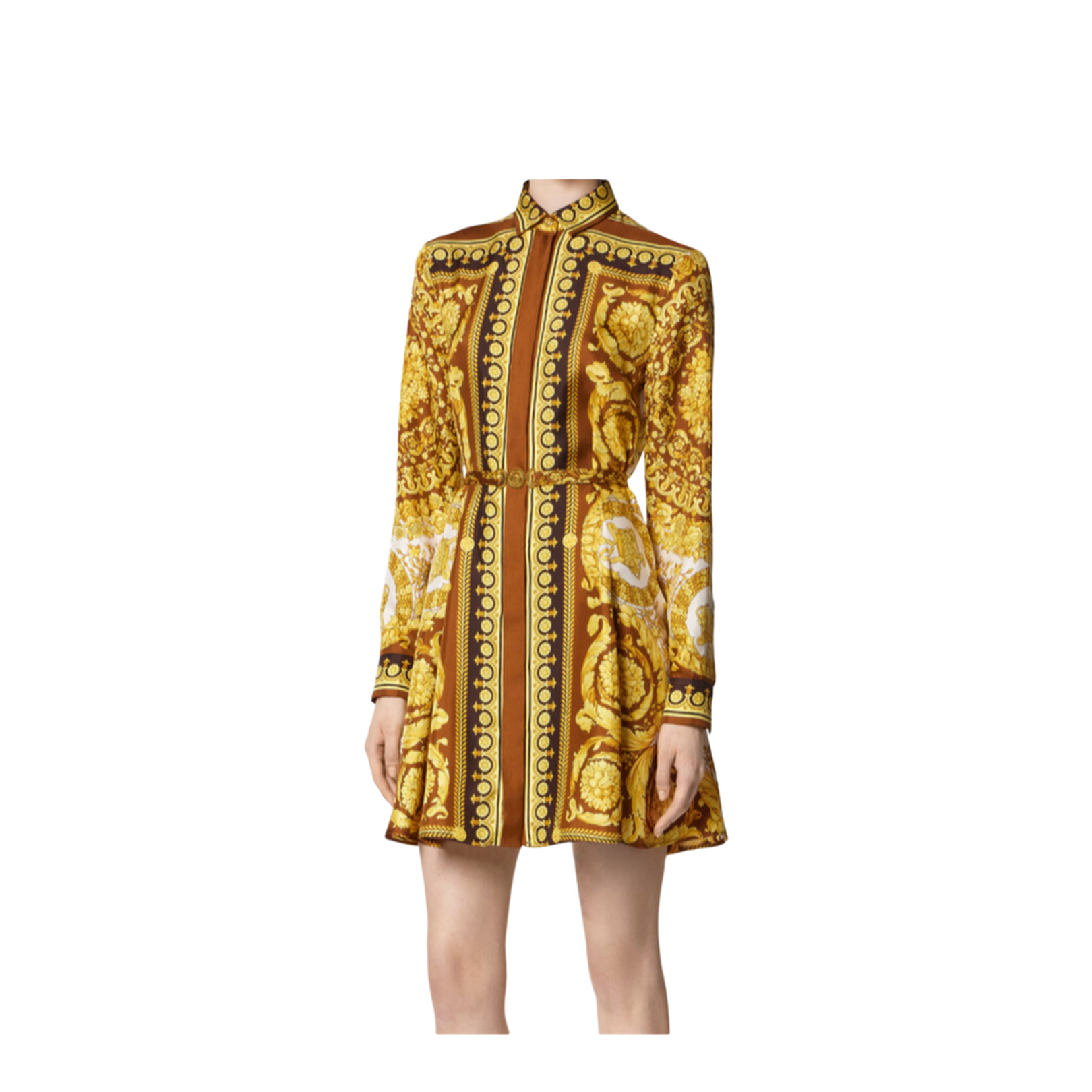 Printed Twill Shirt Dress