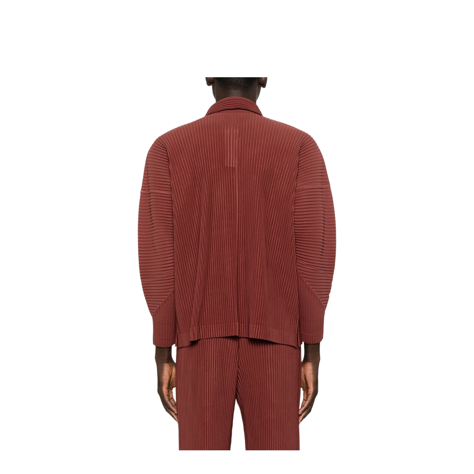 Brown Pleated Texture Collared Neck Long Sleeve Button Fastening
