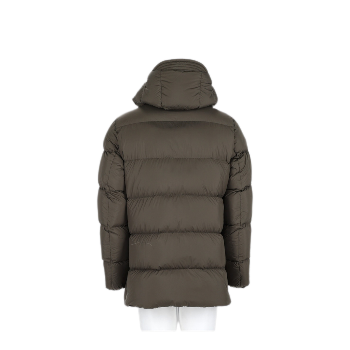 Green Sports Jacket