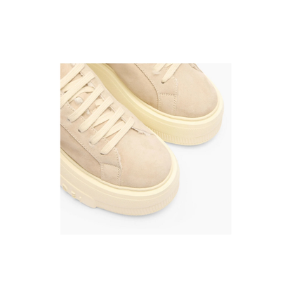 MAYFEYR - Casadei - Beige Sneakers - 2X924Z0711T05439607