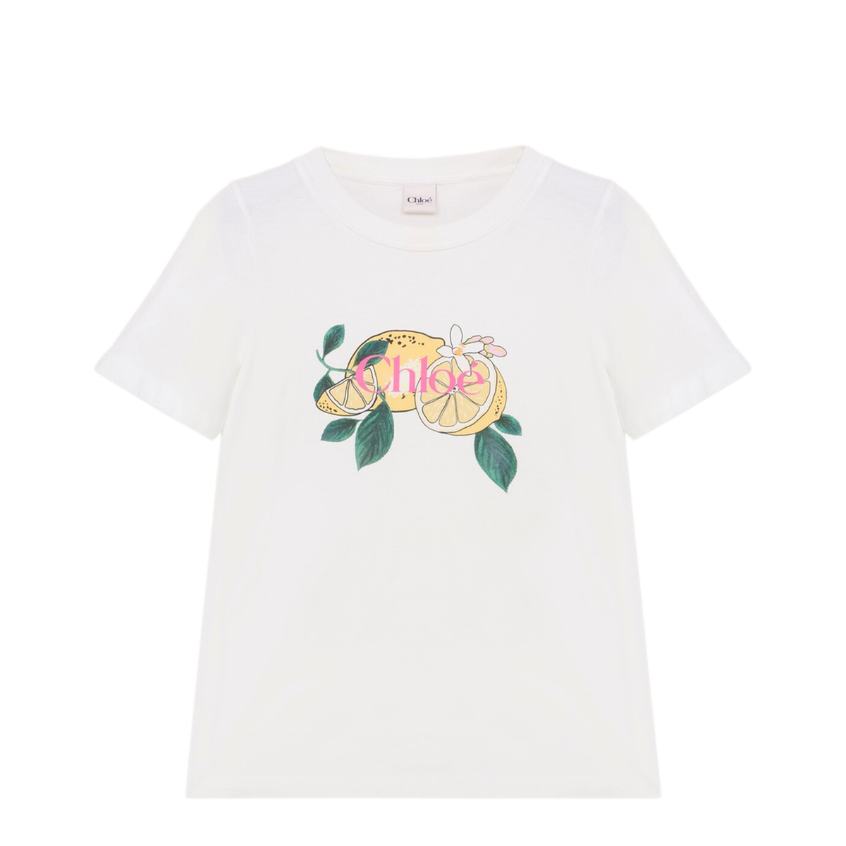T-shirts and Polos