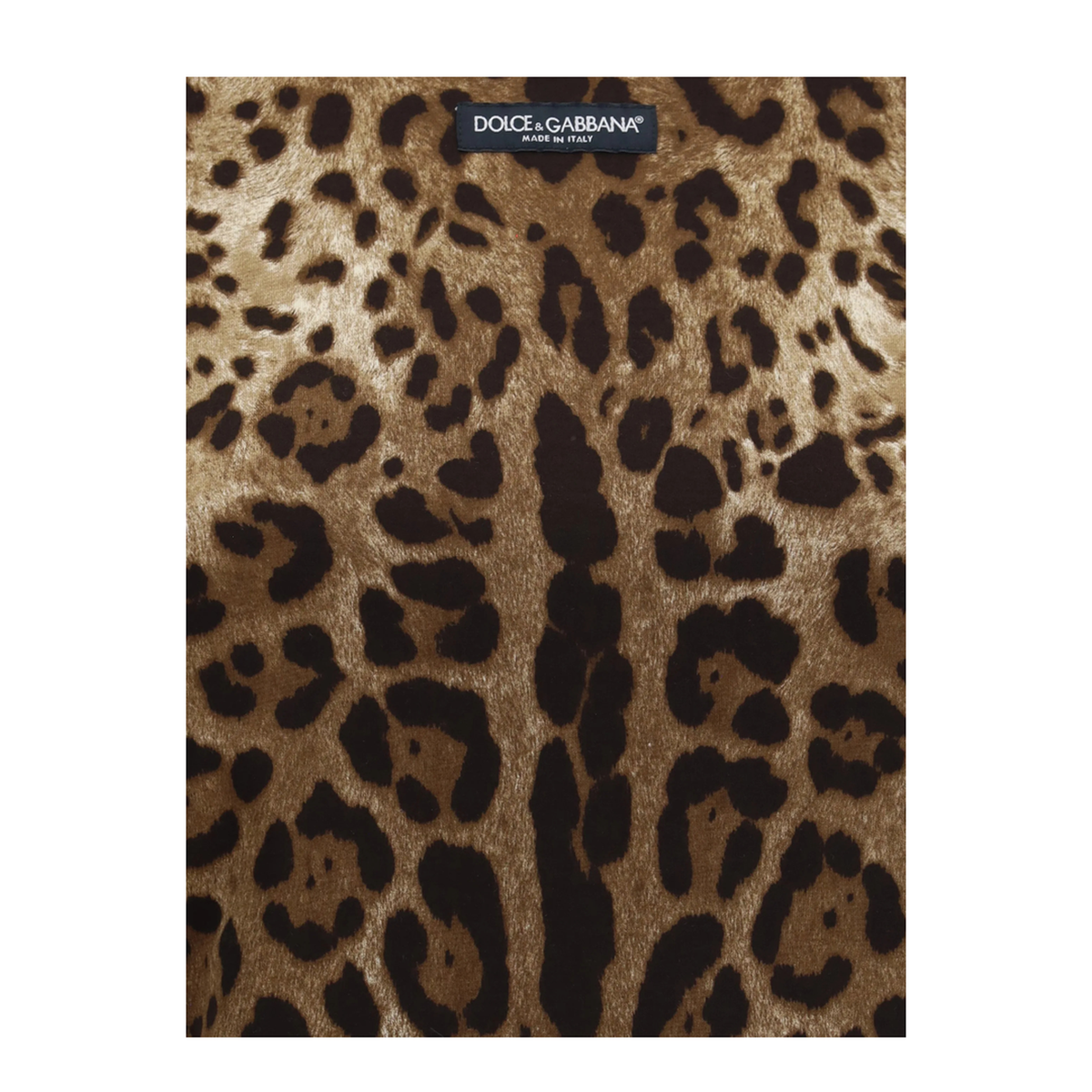 Leopard Print Cropped T Shirt