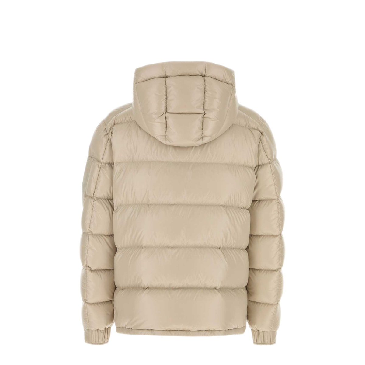 Polar Tech Hooded Down Jacket
