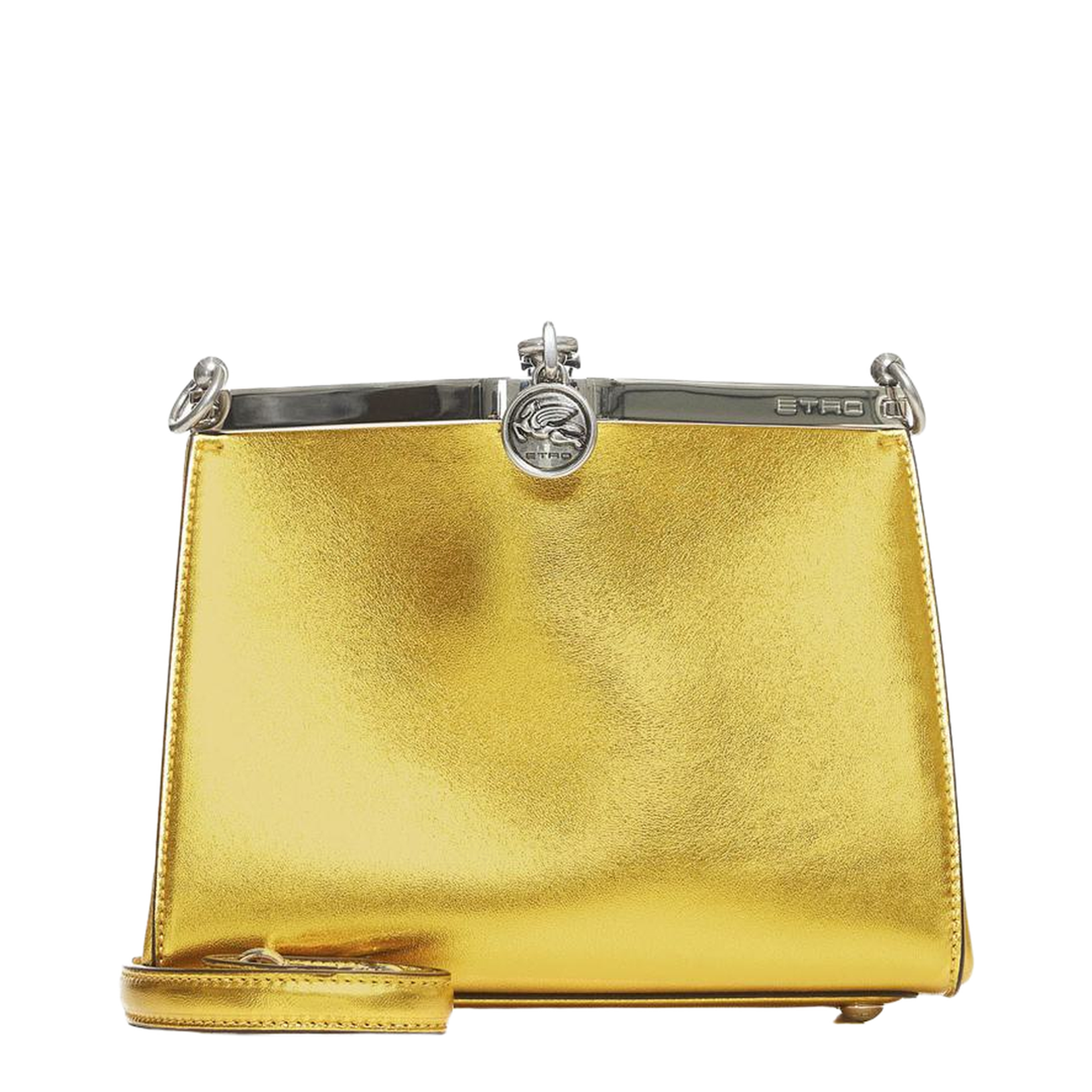Small Laminated Bag