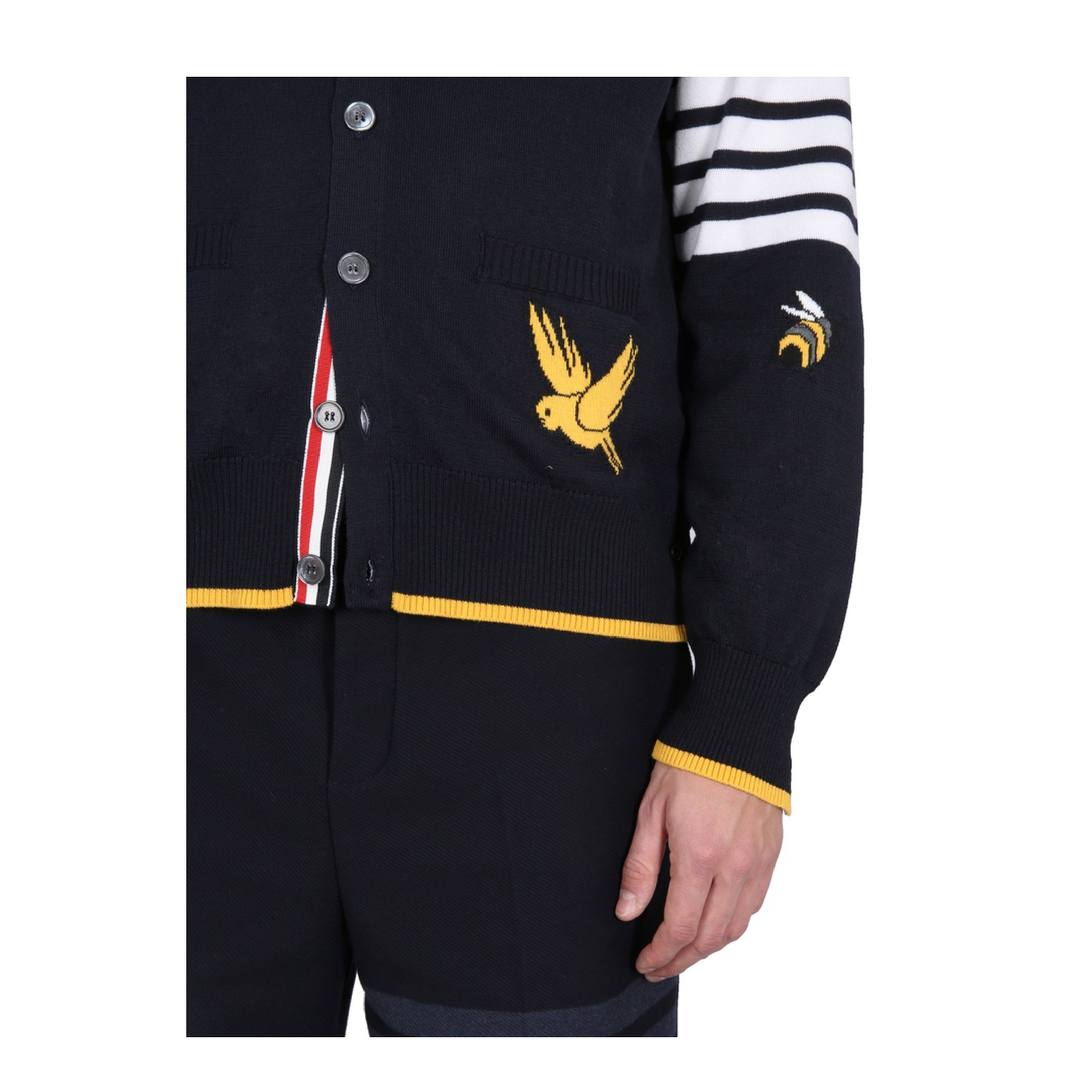 Cardigan with Birds and Bees Inlays