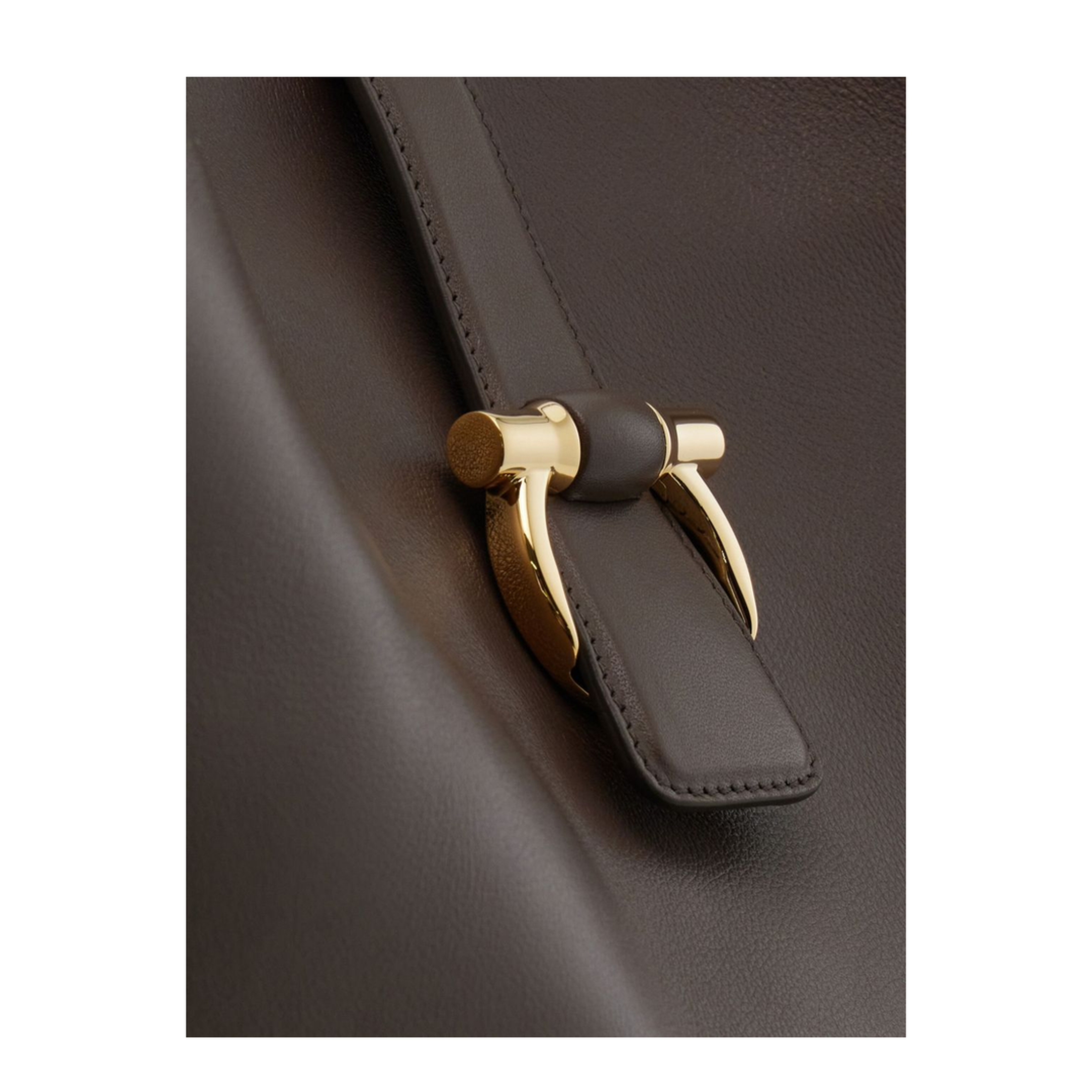 Tote Bag Shoulder Bags in Brown