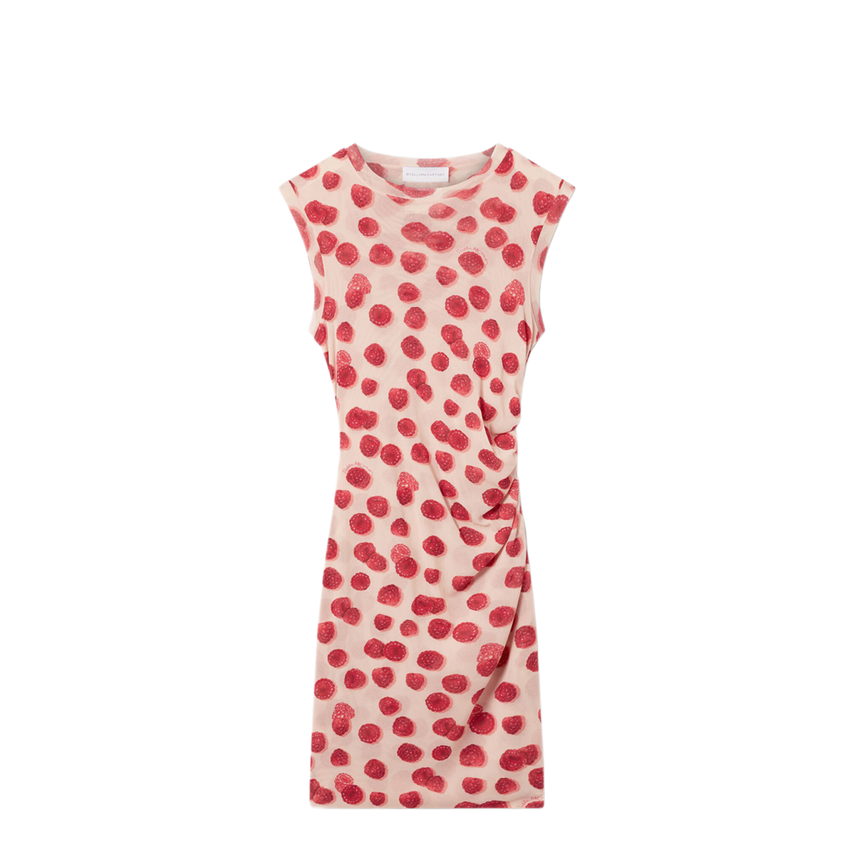 MAYFEYR - Stella Mccartney - Raspberry Print Mesh Crew Neck Dress - 6J04683SQA655001