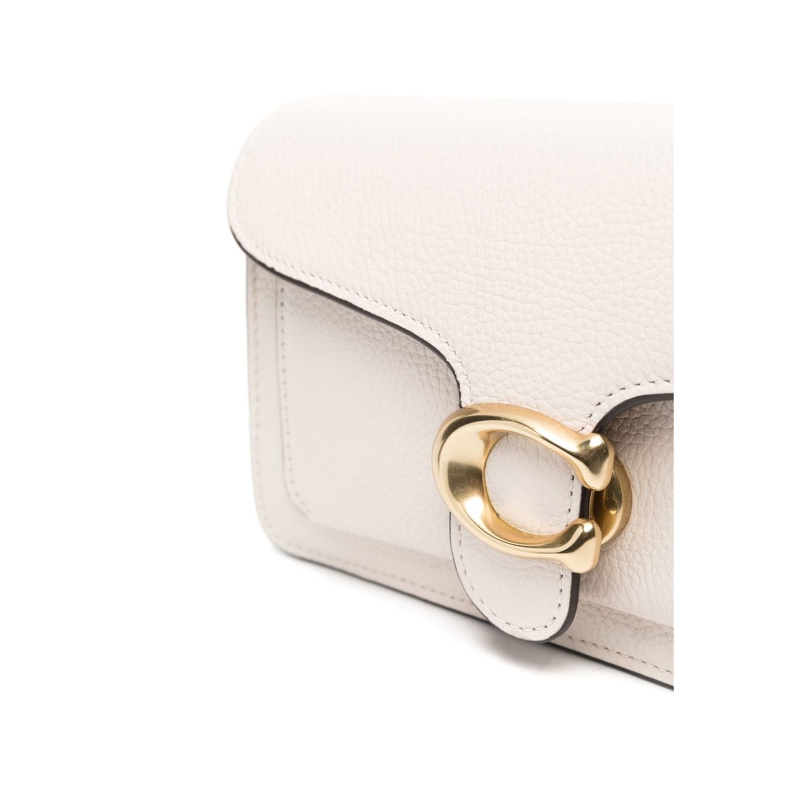 Tabby Chain Clutch