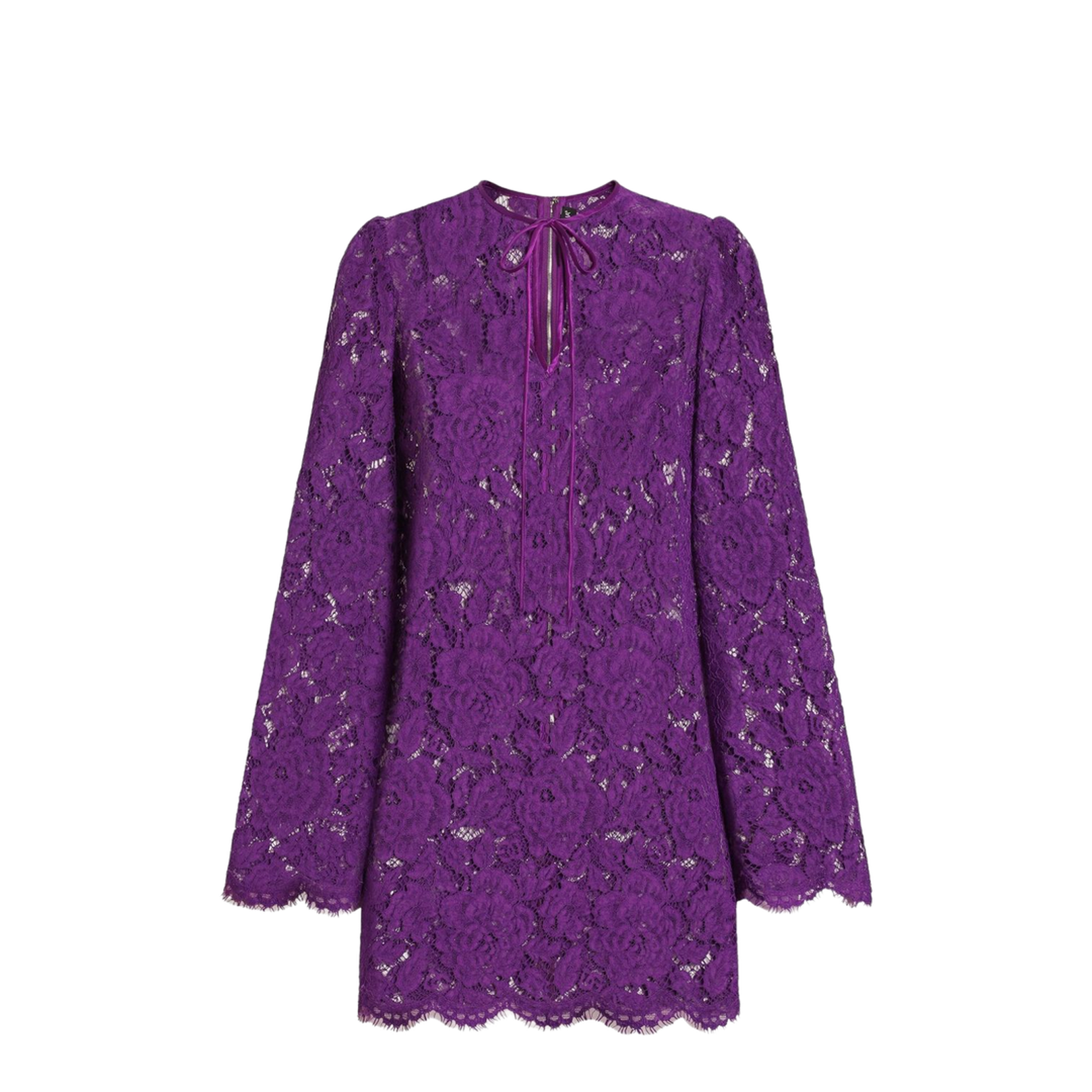 Cordonetto Lace Short Dress