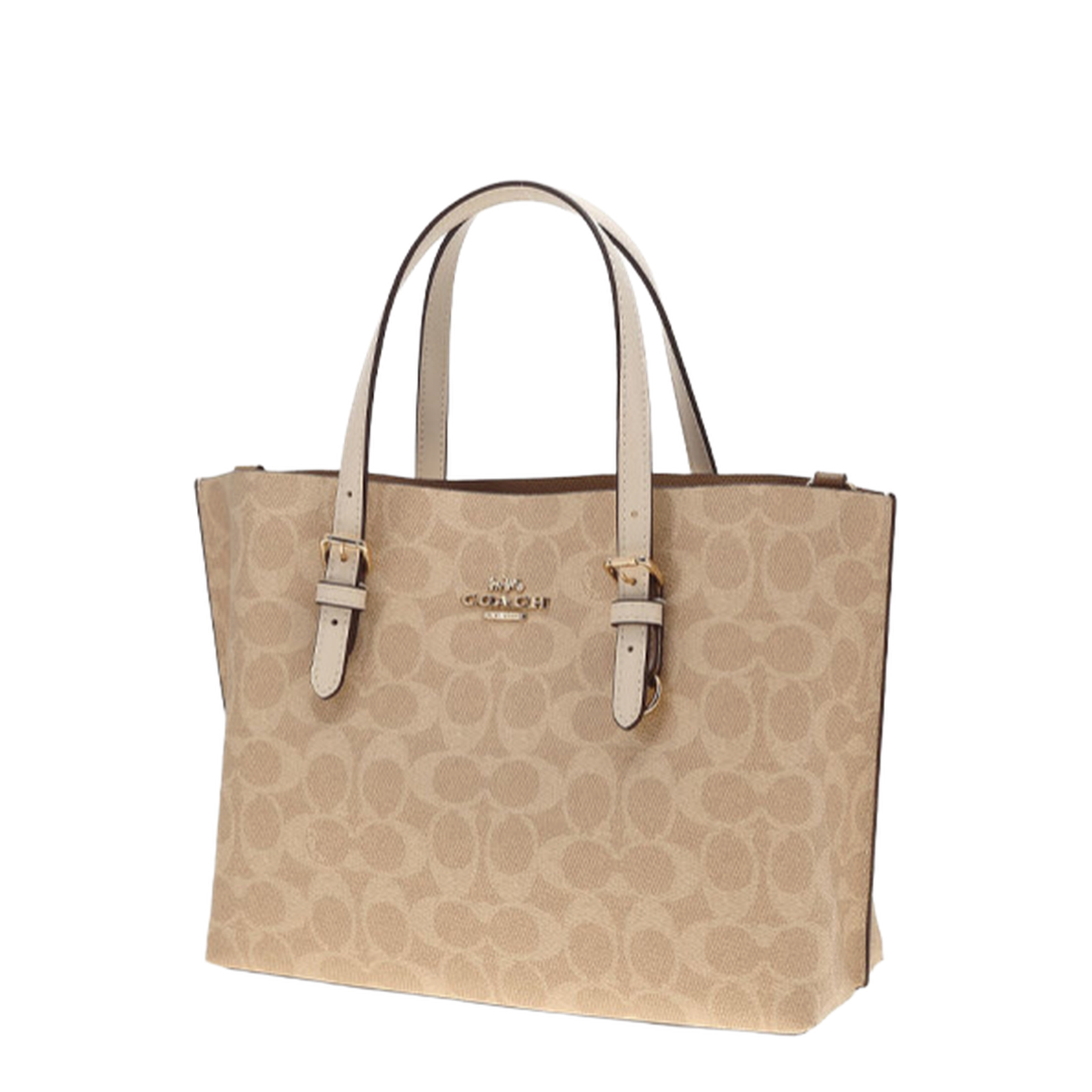 Mollie Tote Bag 25 In Signature Canvas