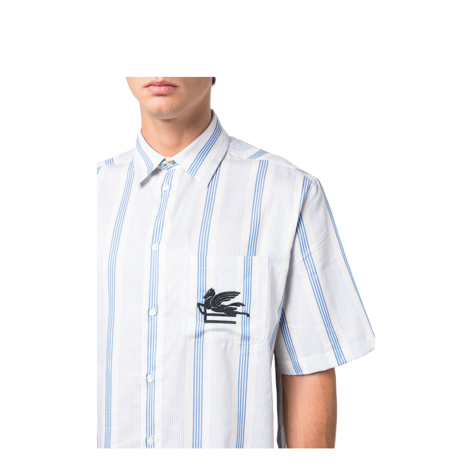Blue Striped Embroidered Shirt