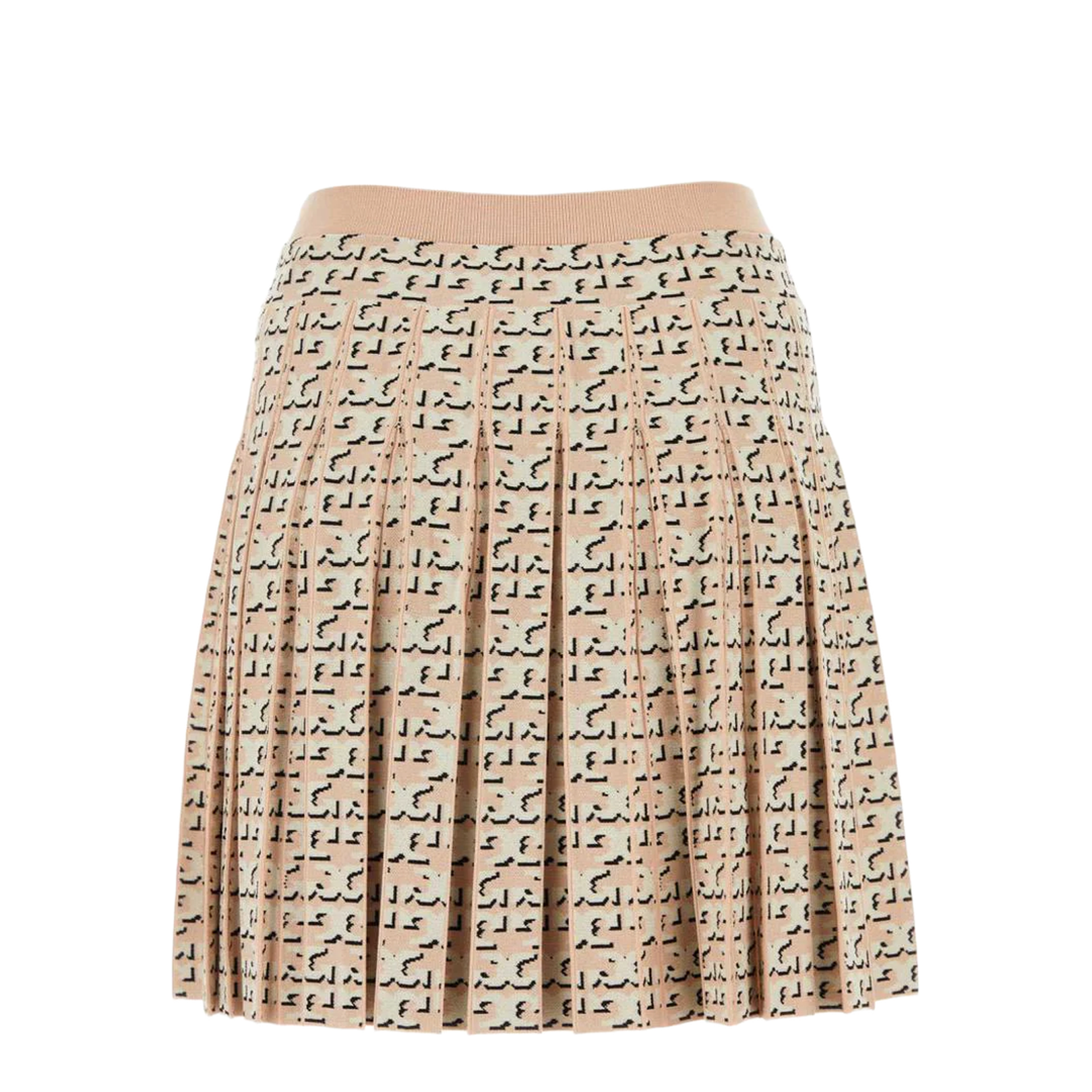 Embroidered Viscose Blend Skirt