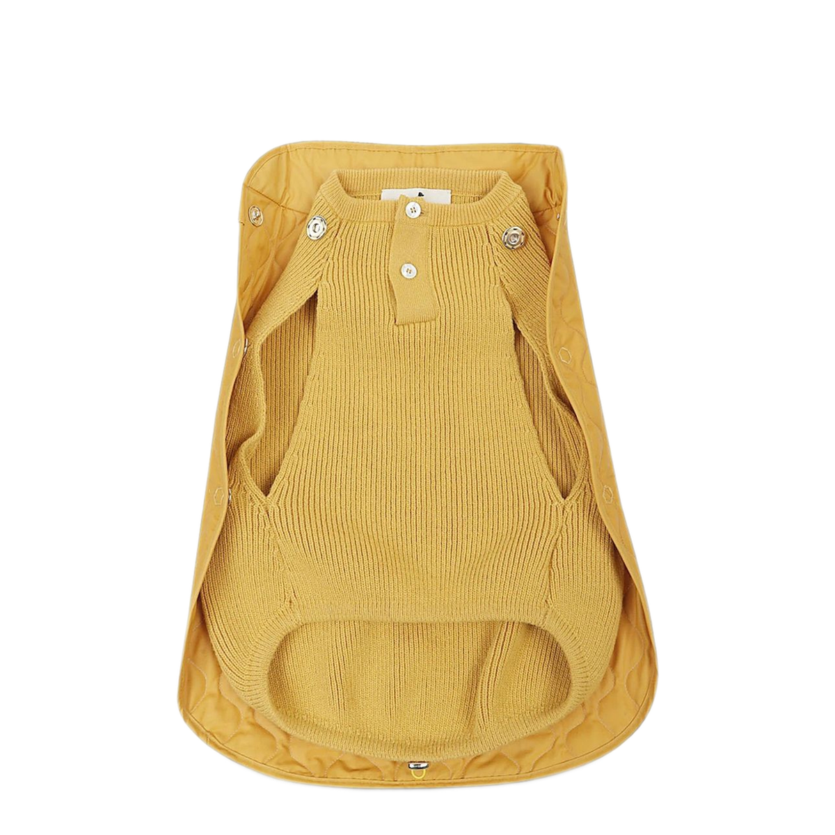 MAYFEYR - Poldo Dog Couture - Lifestyle Orange - SUNNYSUMMITSM