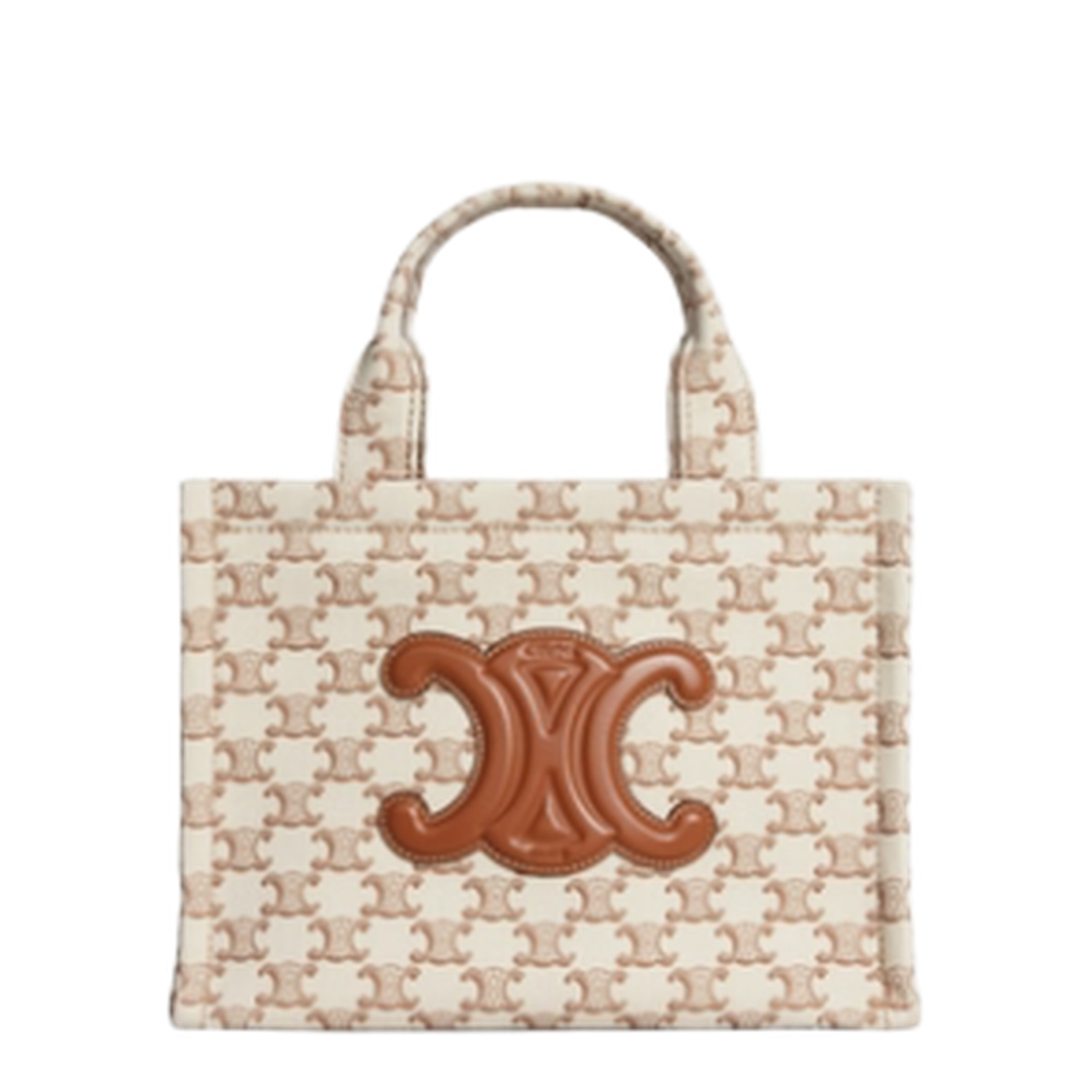 Small Cabas 2way Tote Bag