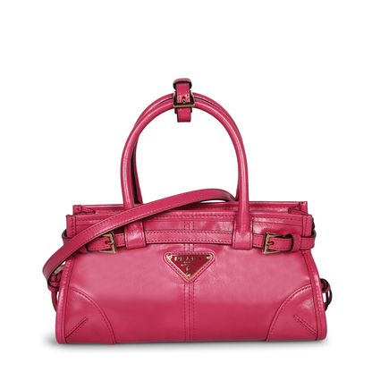 Fuchsia Leather Mini Handbag